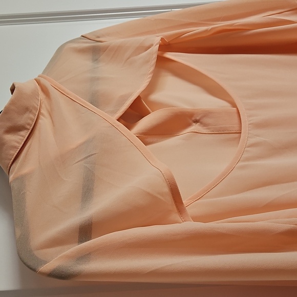 2/$20 Mink Pink - Peach Sheer Button-Up High/Low Blouse - Size Small - Picture 5 of 5